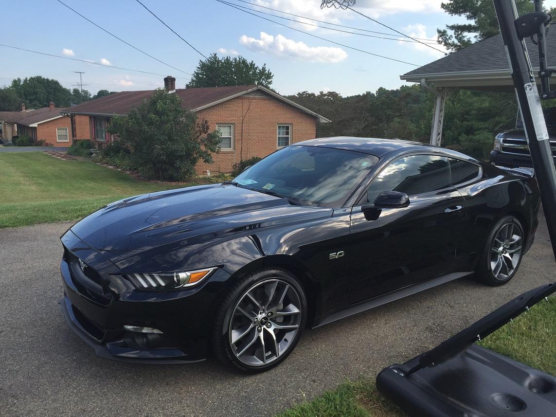mustang_smaller.jpg
