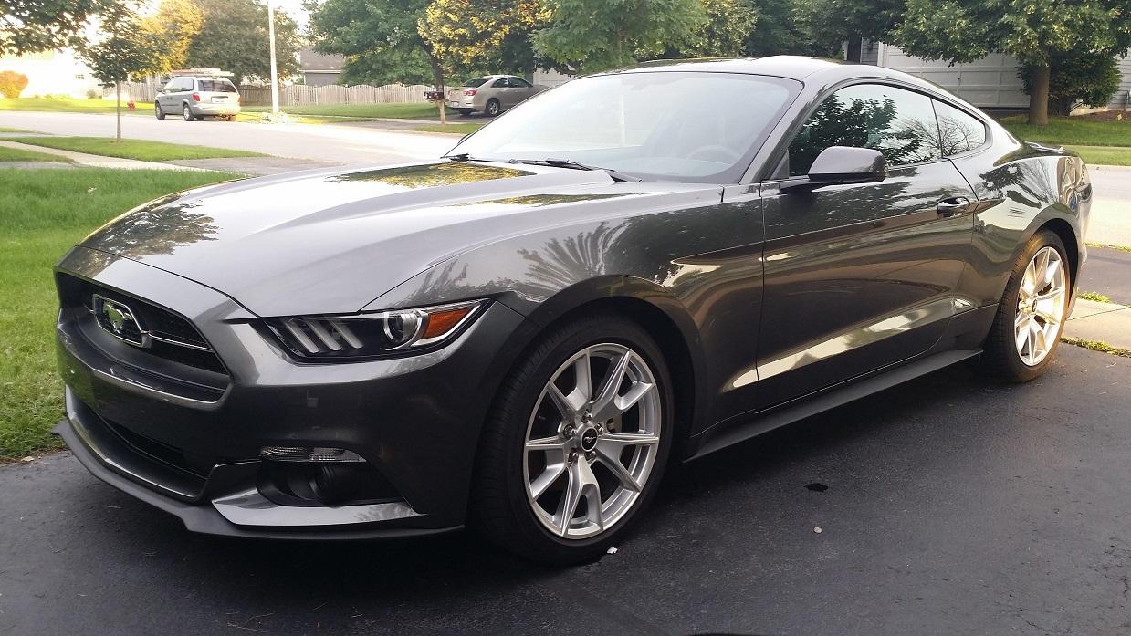 stang.jpg