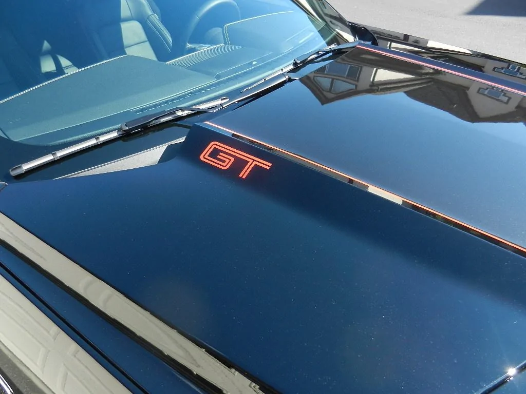 Hood Stripe3.webp