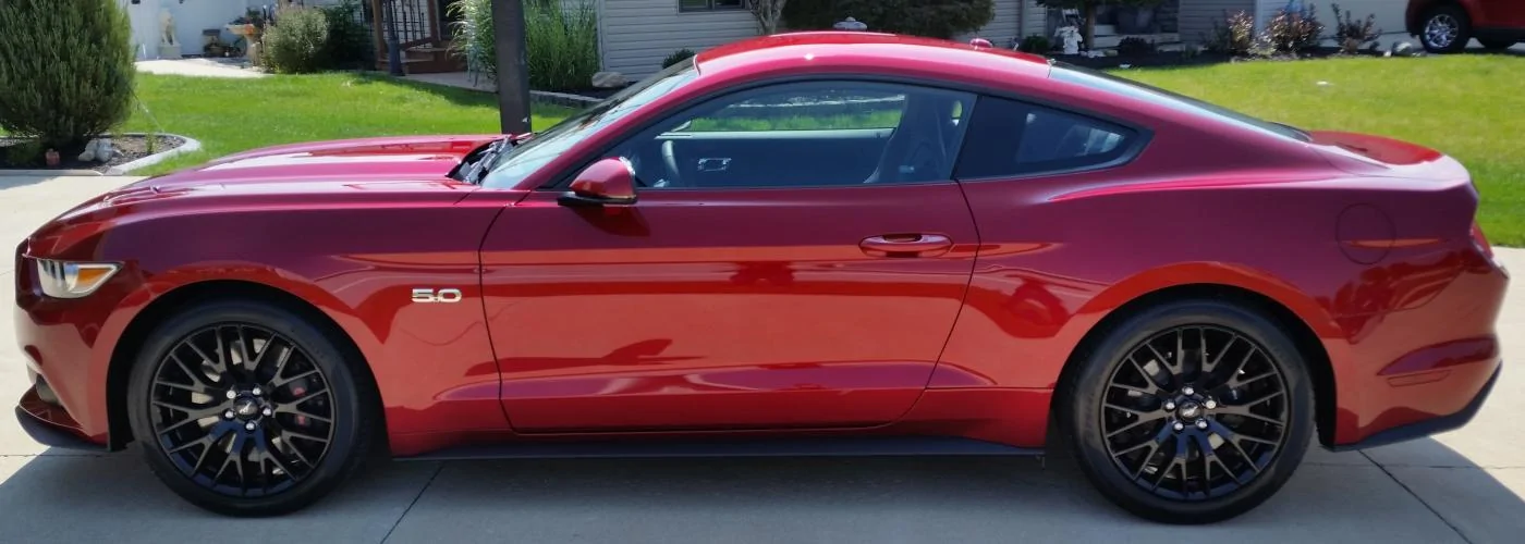 new mustang.webp
