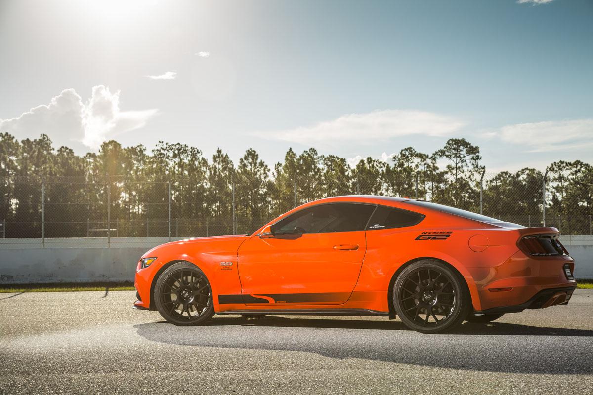 orange2.jpg