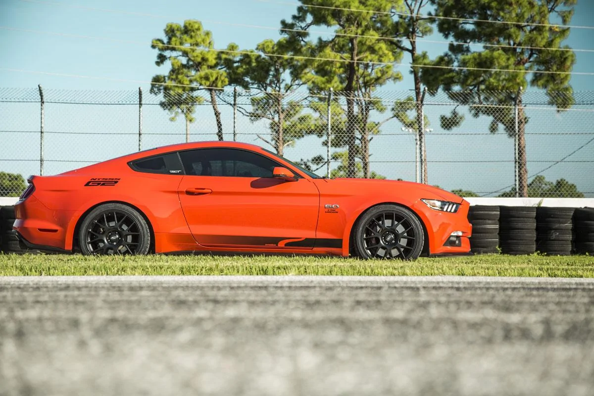 orange12.webp