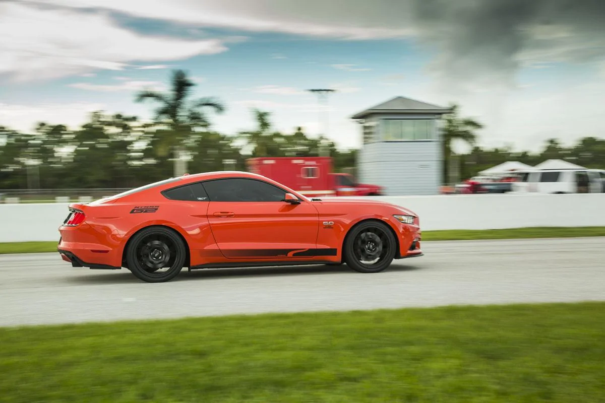 orange15.webp