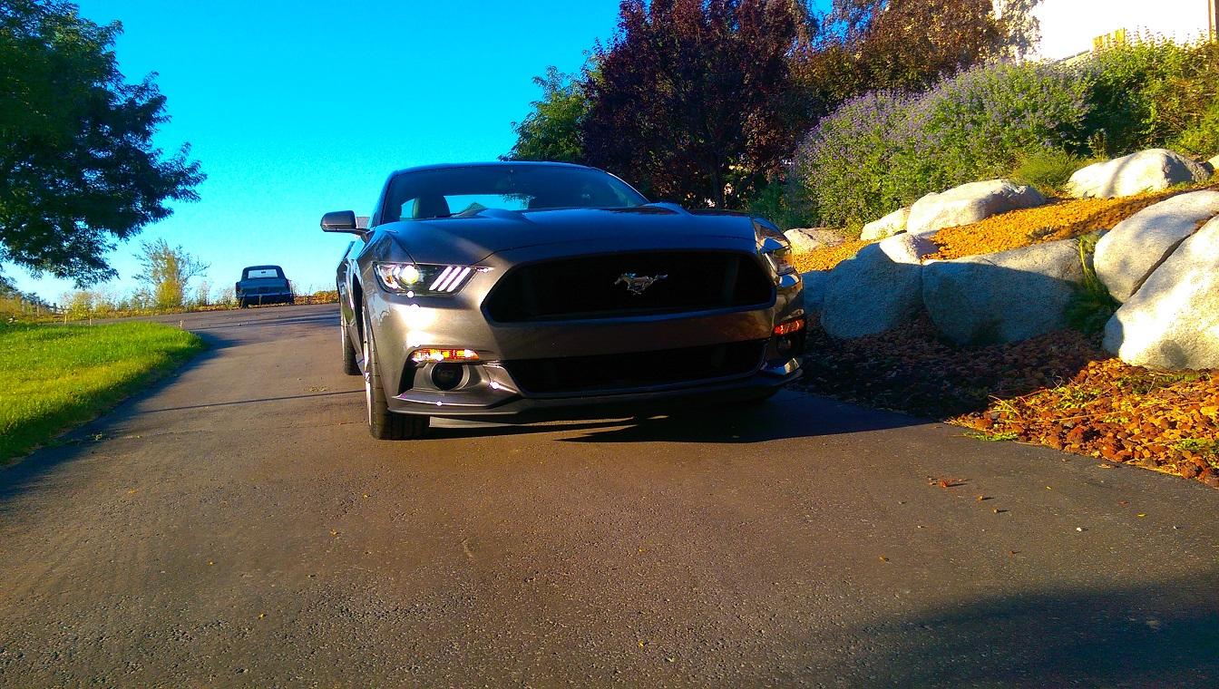 IMAG0339s.jpg