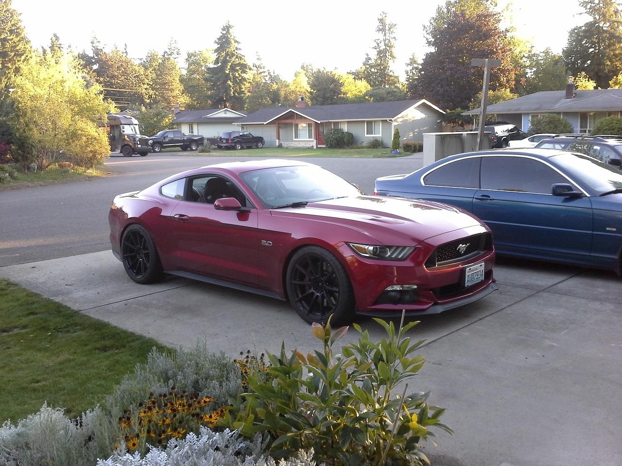coilovers1.jpg