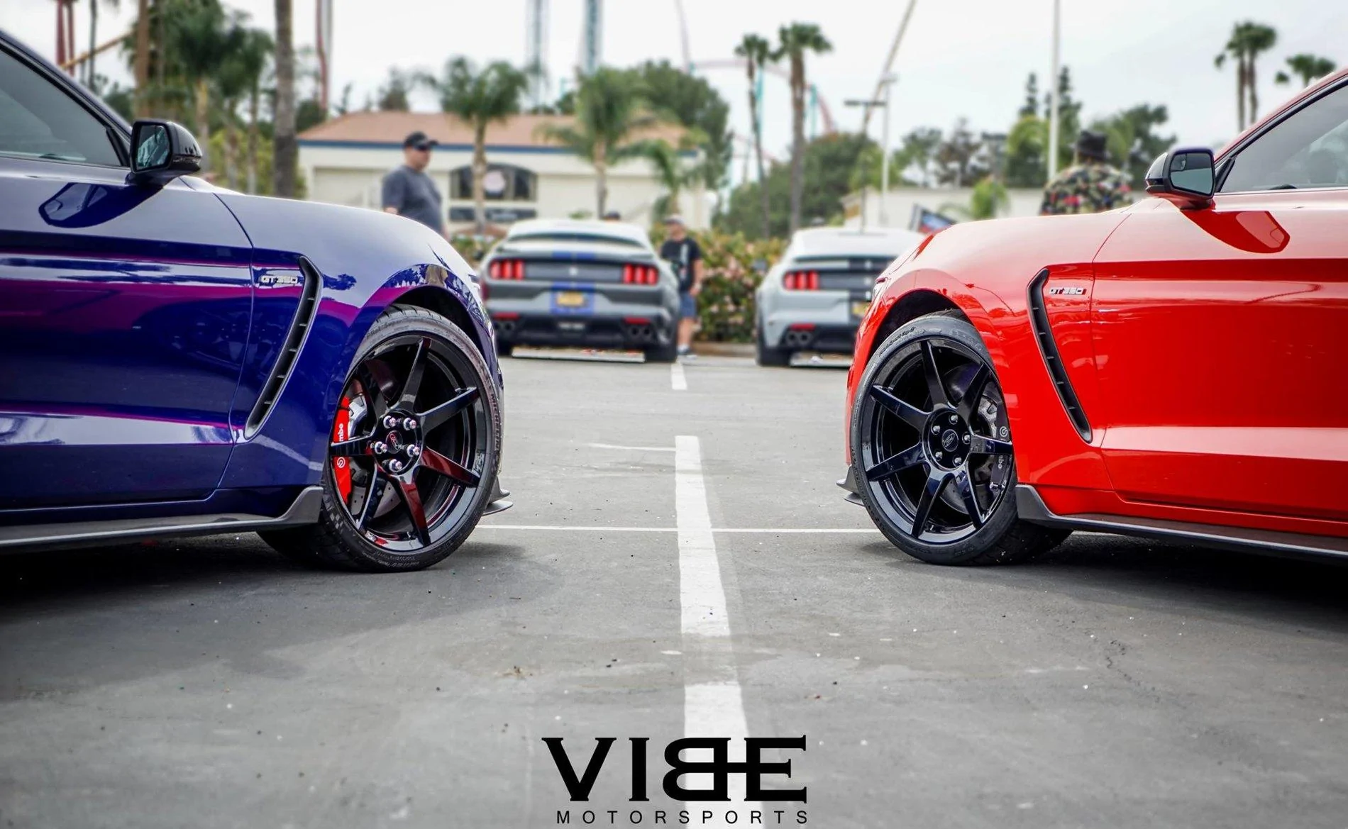 vibe3.webp