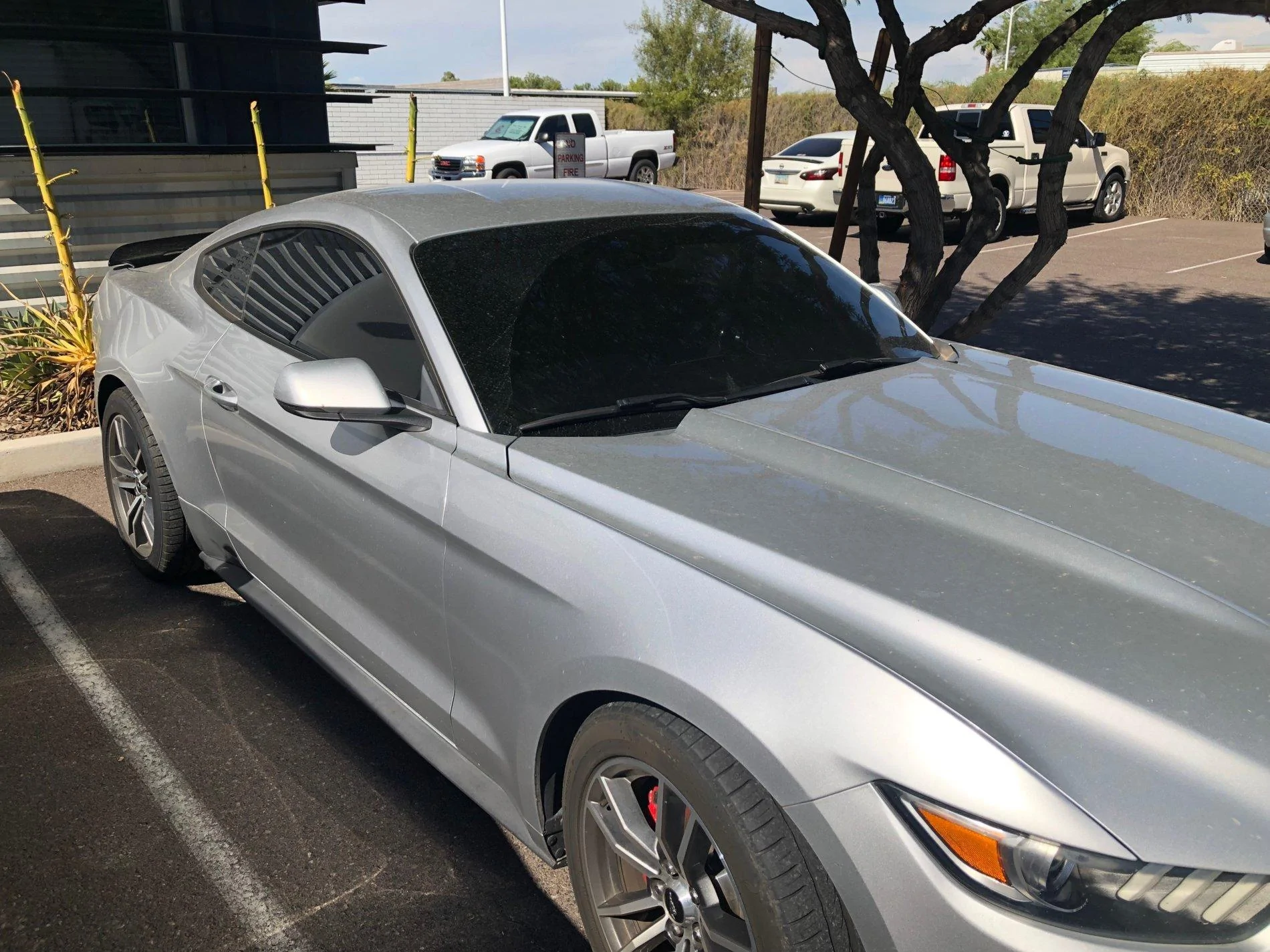 Dirty Tinting.webp