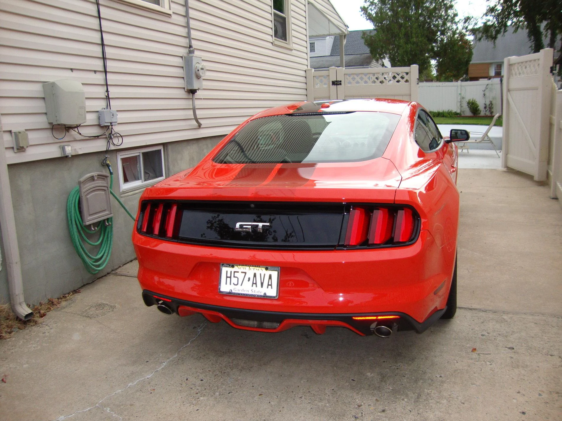 DSC00490.webp