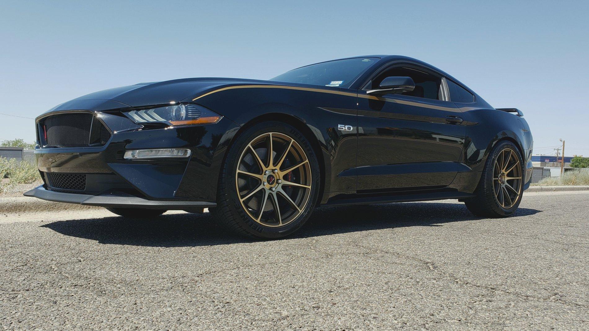 19gt.jpg
