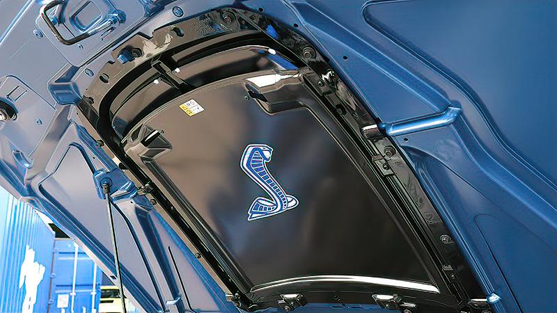 2020-gt-500_rain-tray-blue-white-NEW-snake.jpg