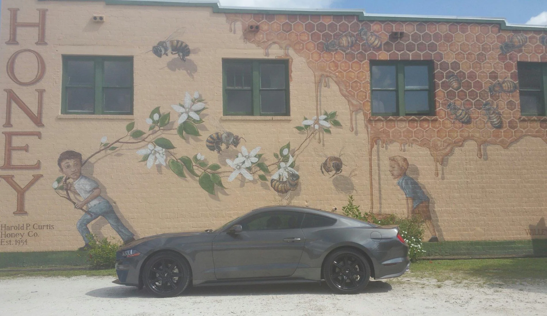 Mustang-Honey.webp