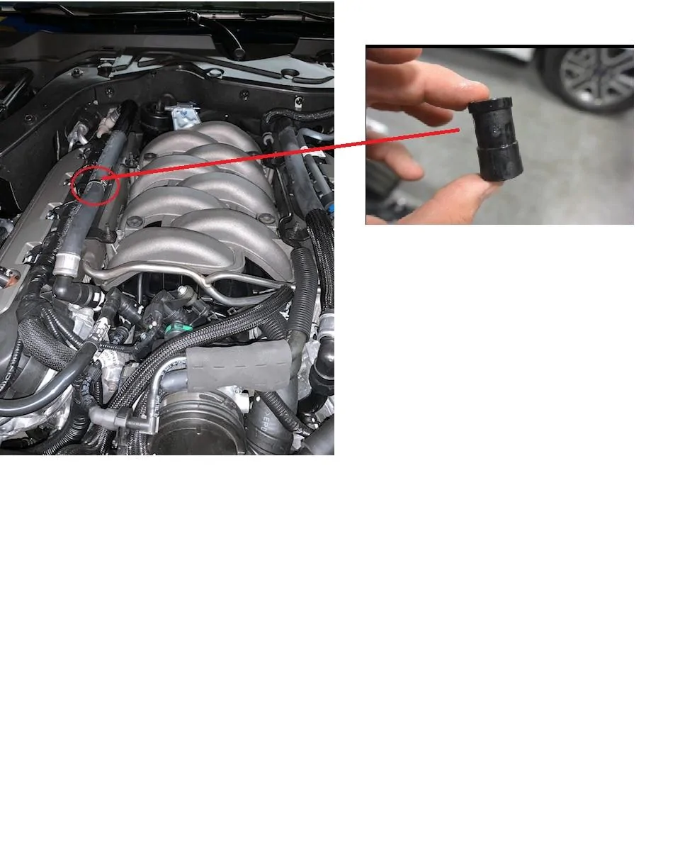 coolant hose.webp
