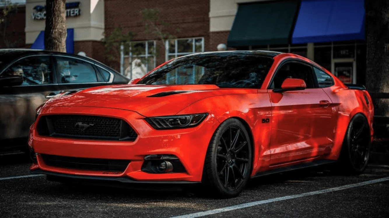 Mustang.webp