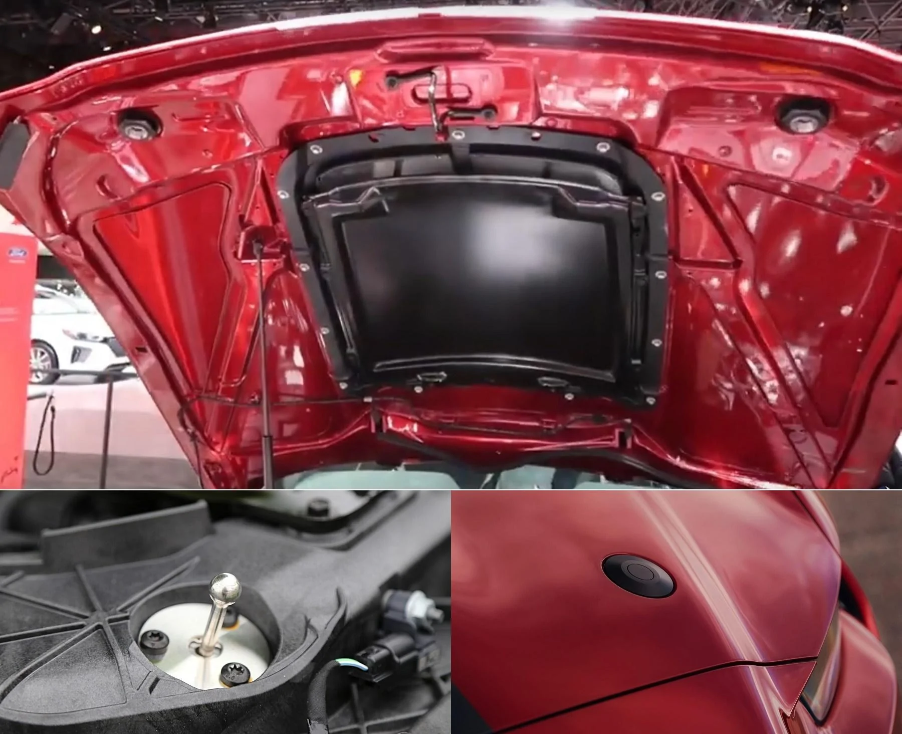 GT500-Under The Hood and Close-Up.jpg