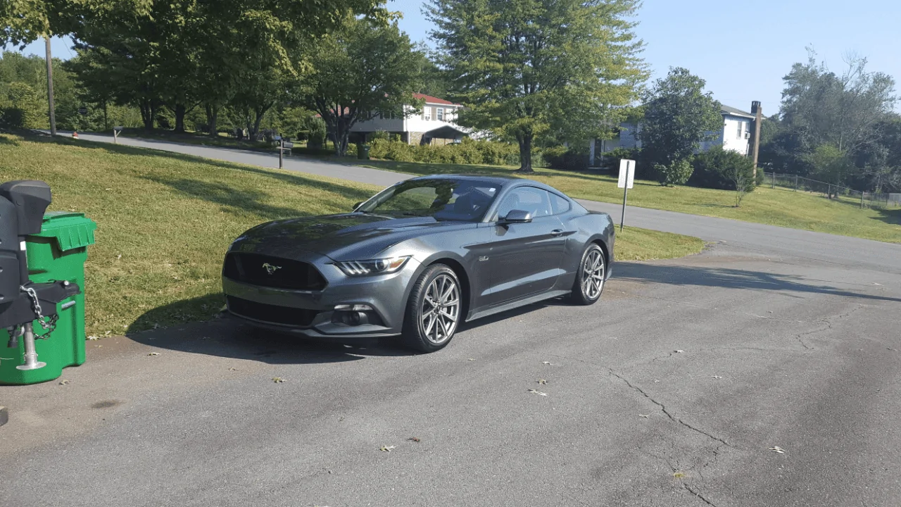 Mustang.webp