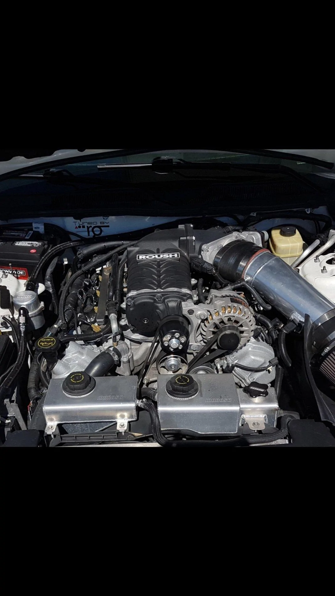 Screenshot_20190131-201934_Gallery.webp