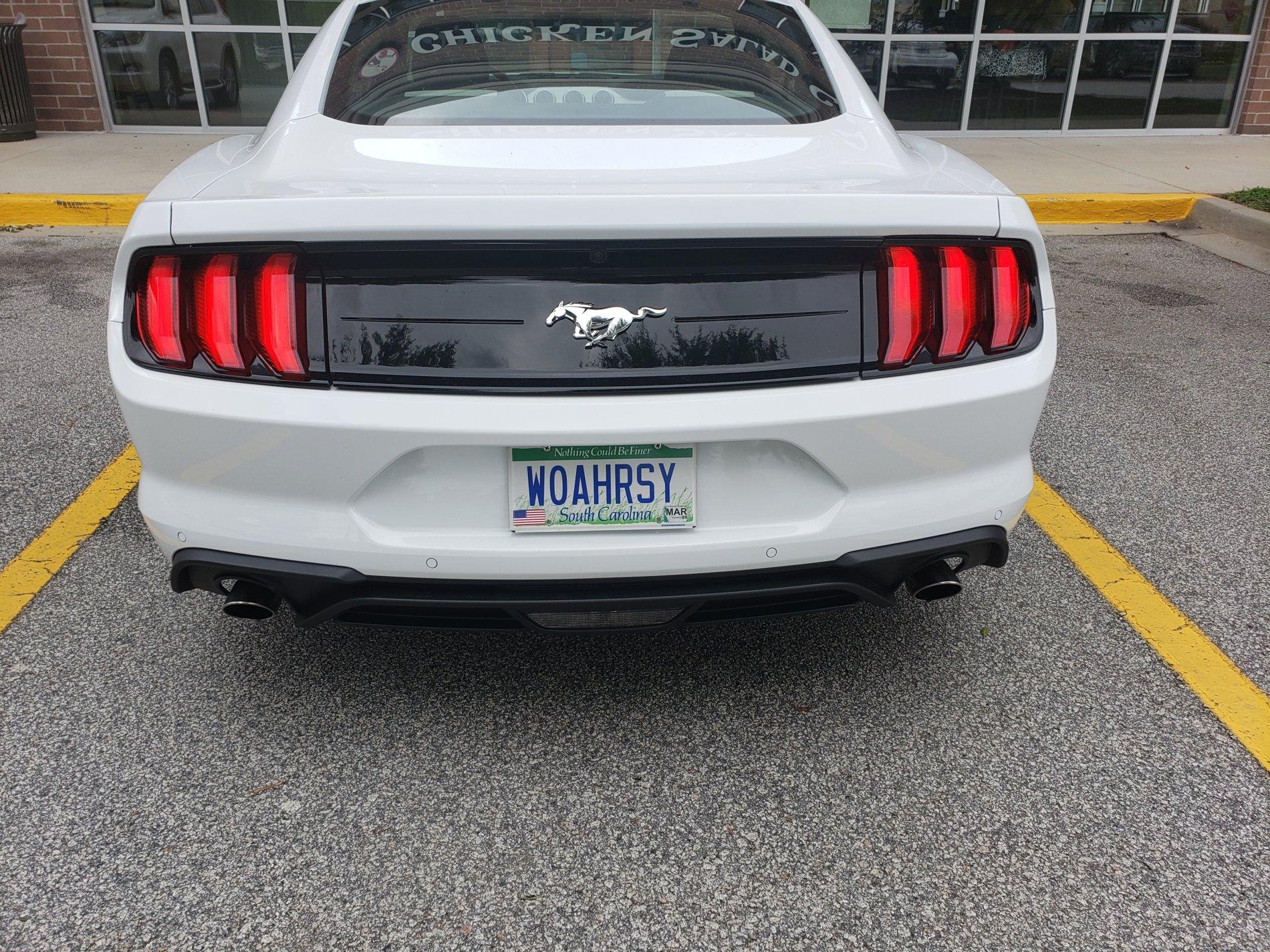 20190905_160531.jpg