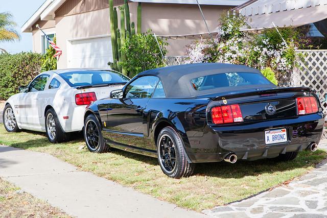 MustangBlackandWhiteGTCSwithLowSpoilers.jpg
