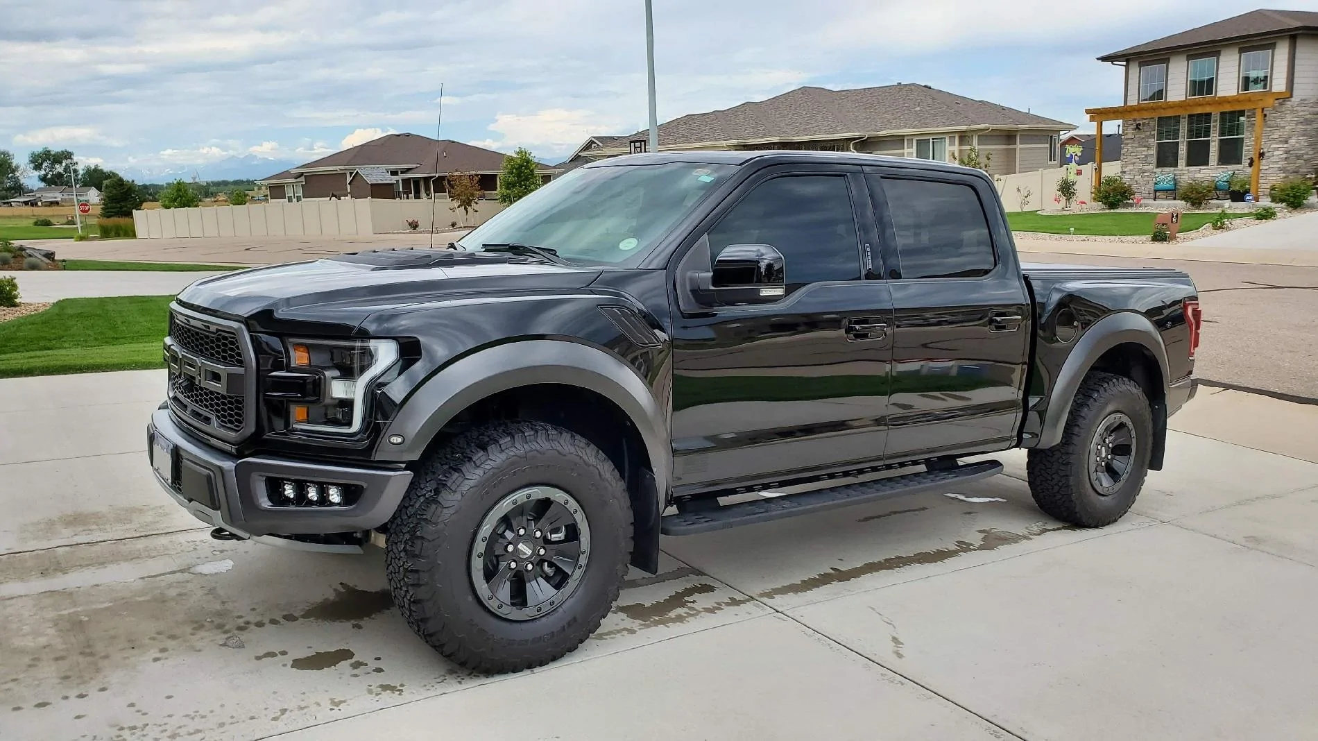 2018_Raptor_fixed_web.webp