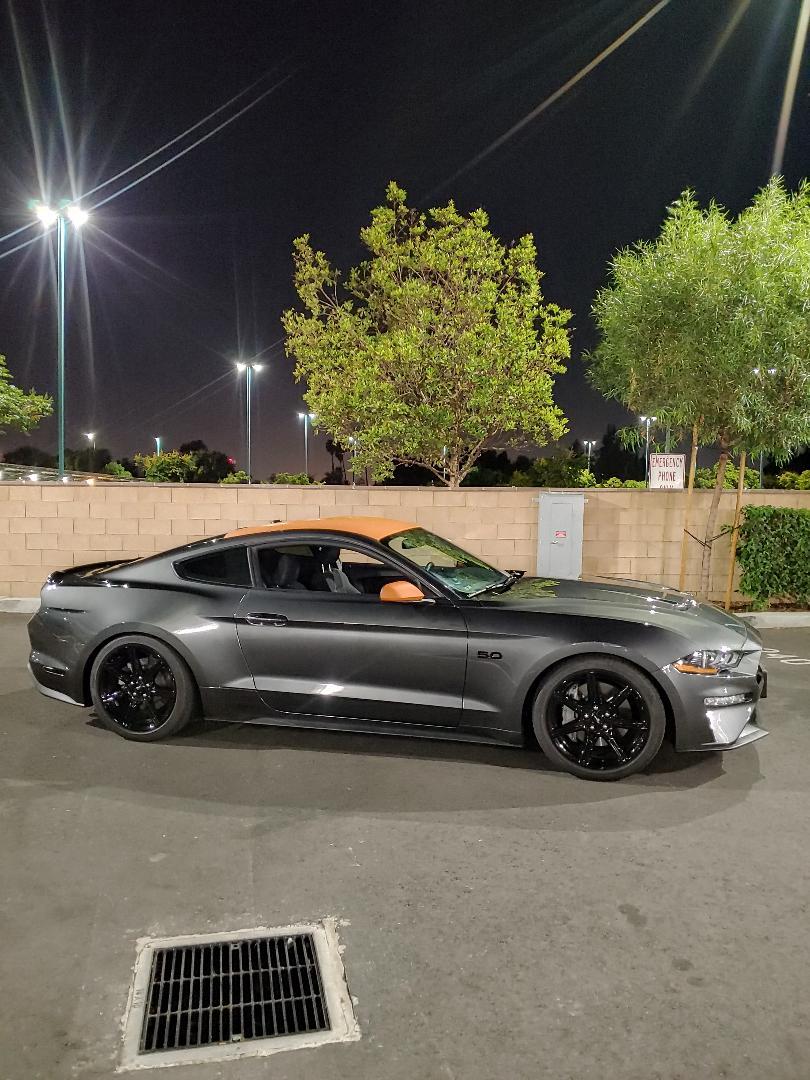 mustang.jpg