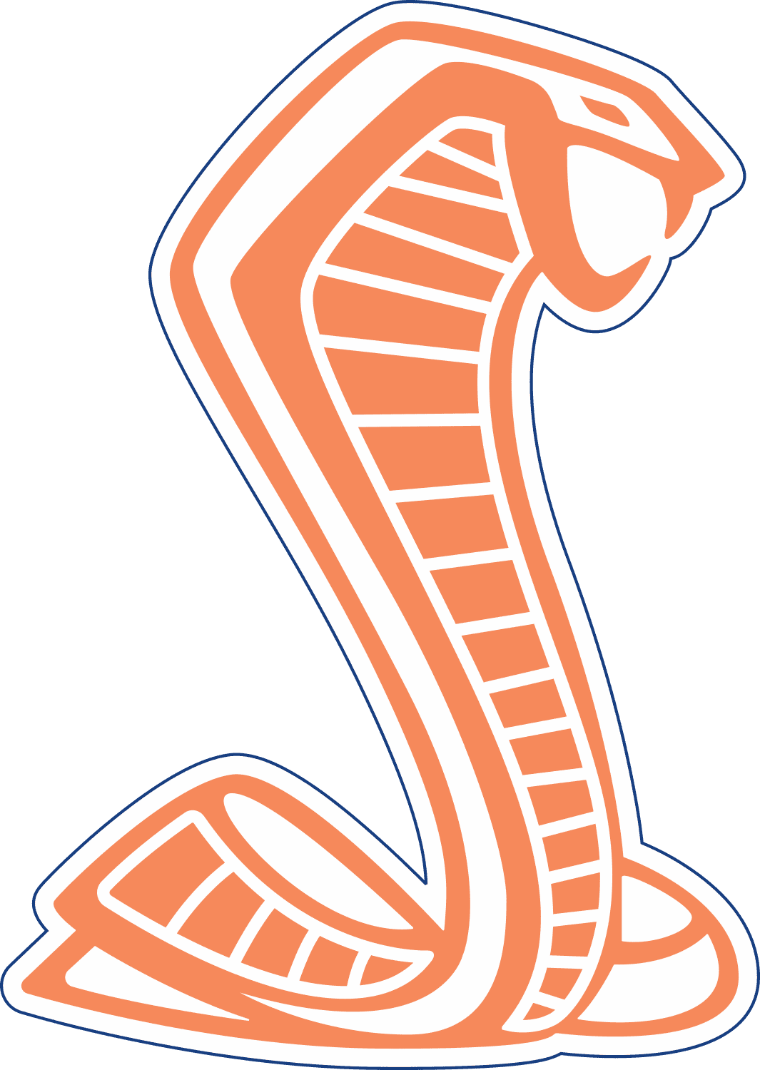 twister-orange-on-white.png