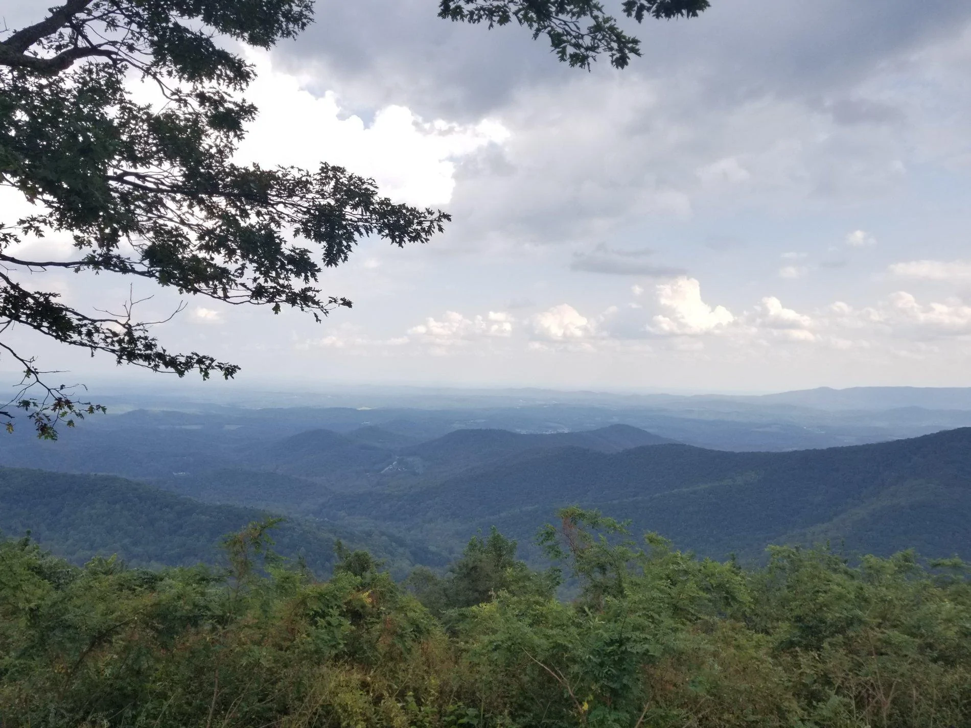 20190929_140600.webp