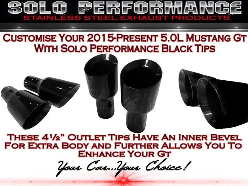 2015-present-cat-back-mach-xv-exhaust-system-50l-ford-mustang-gt (1).webp