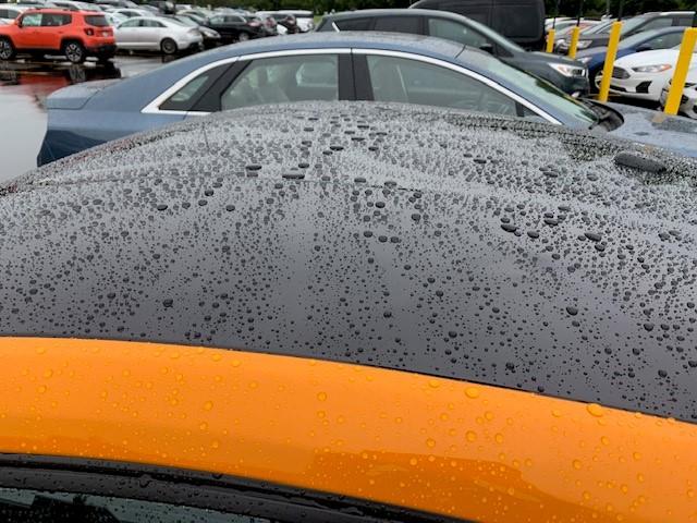 rain2.jpg
