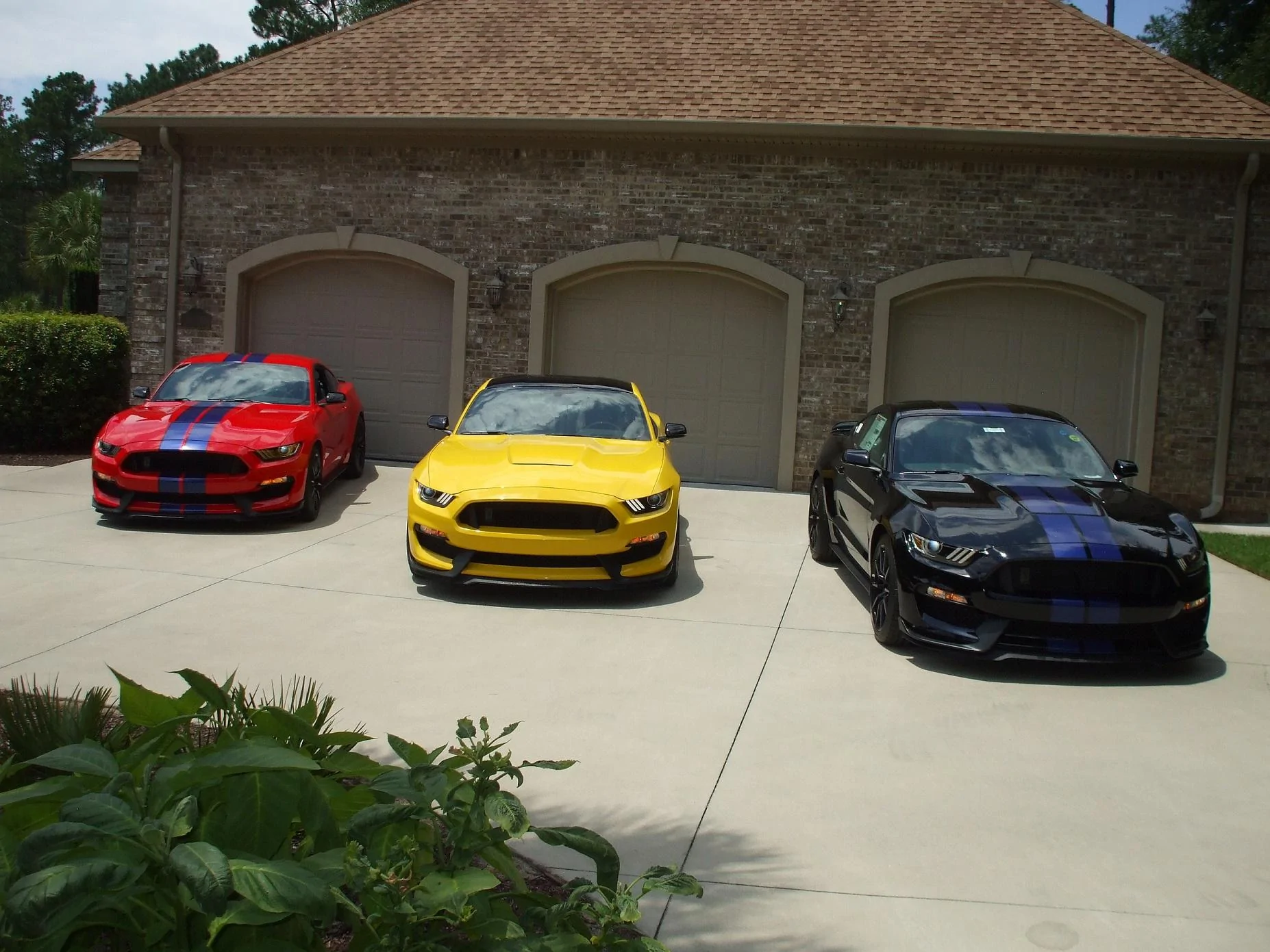 DSCF1584.webp