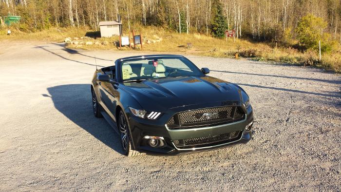 stang_front.jpg