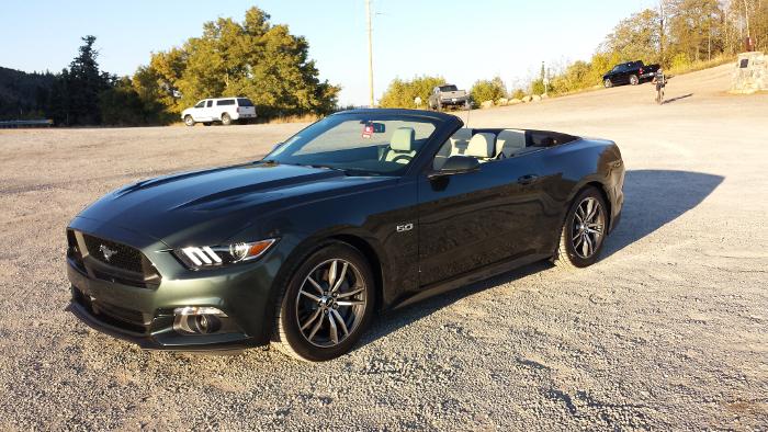 stang_driver.jpg