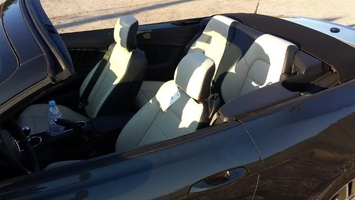 stang_interior.webp