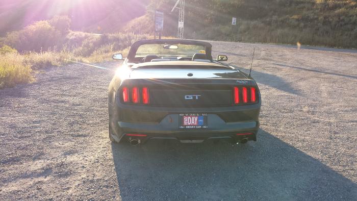 stang_rear.jpg