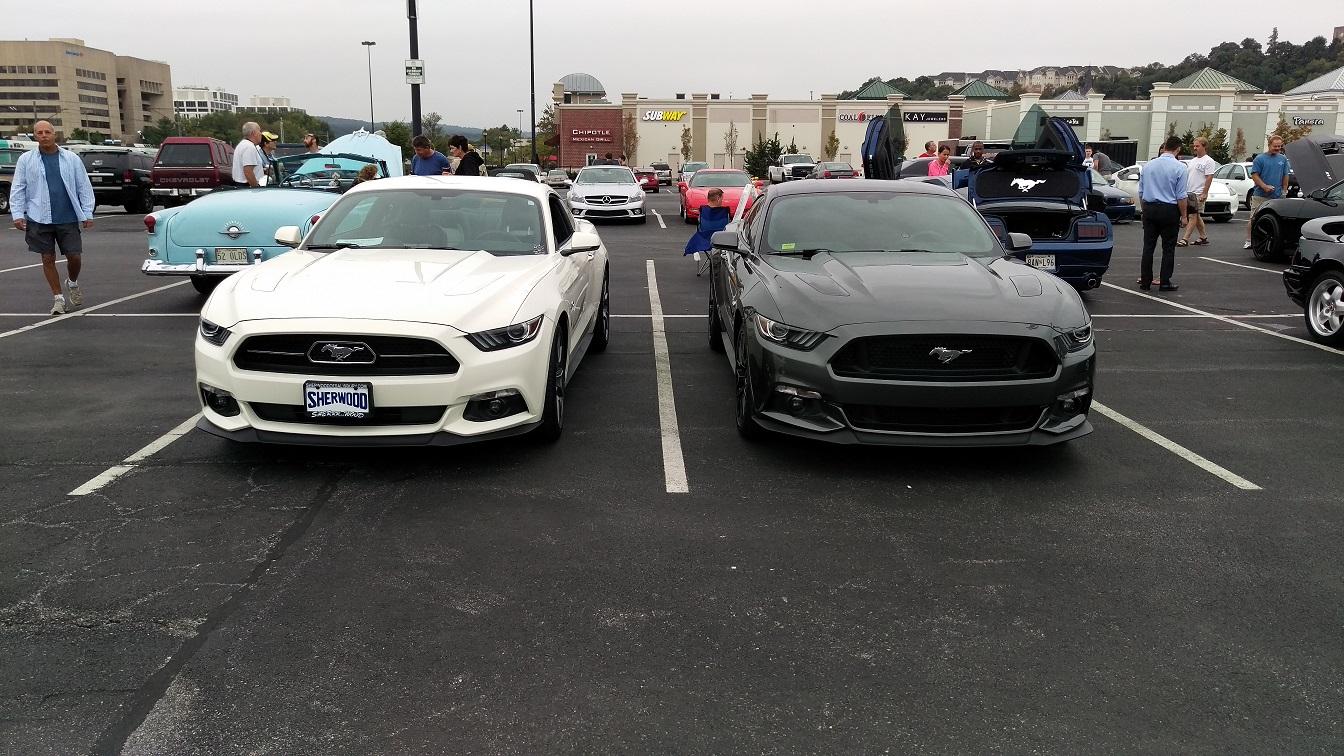 IMAG0005 2.jpg