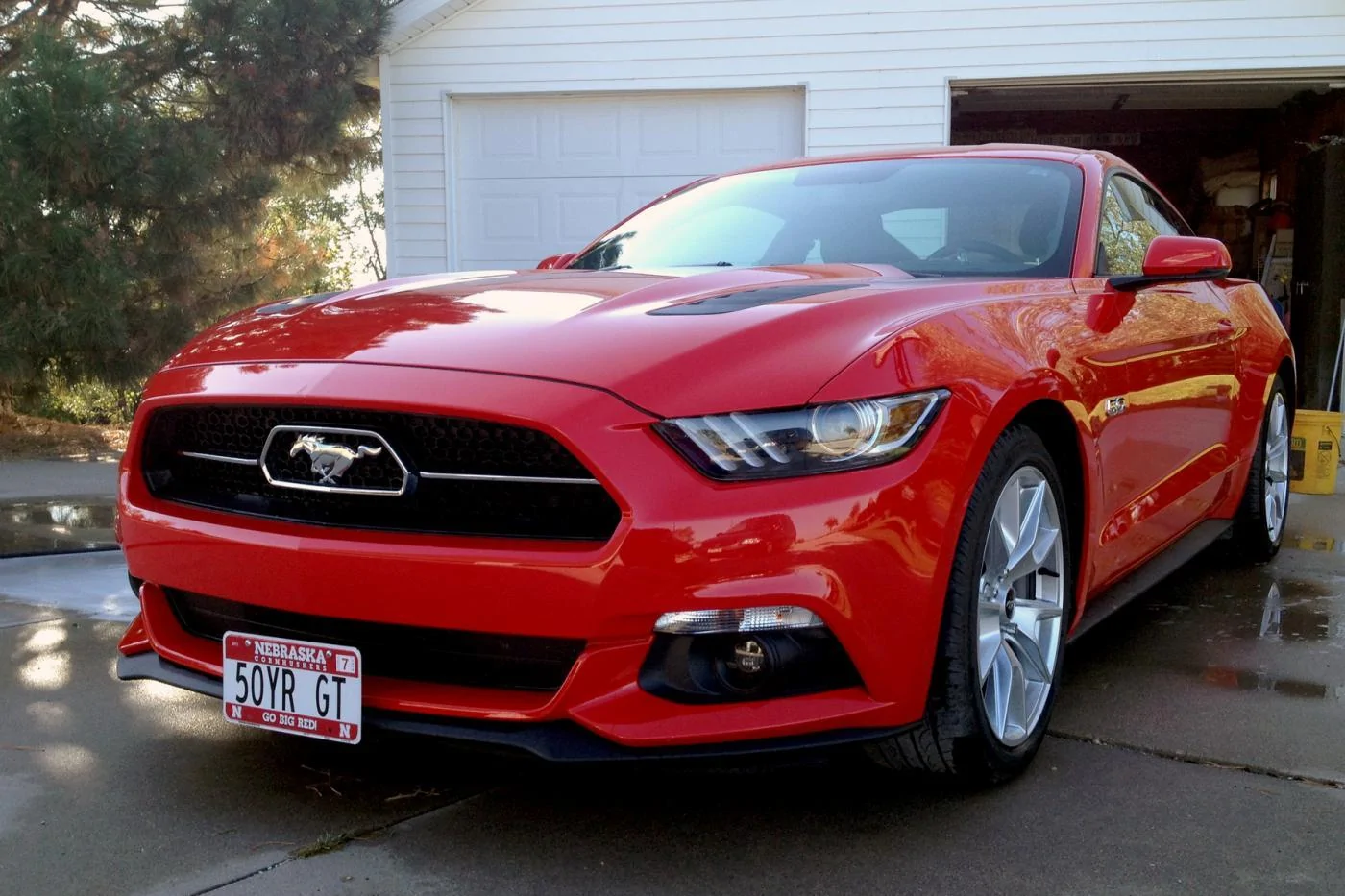 stang.webp