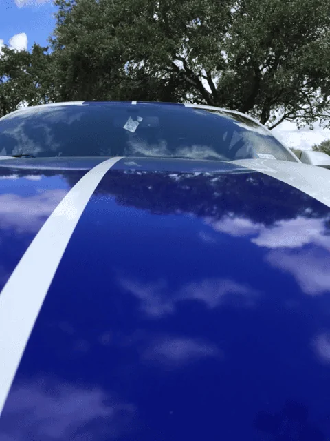 car4.webp