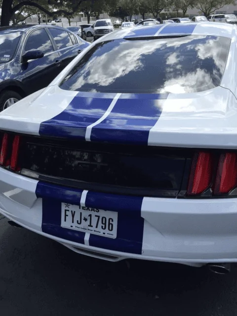 car7.webp