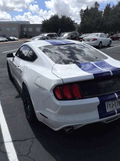 car8.webp