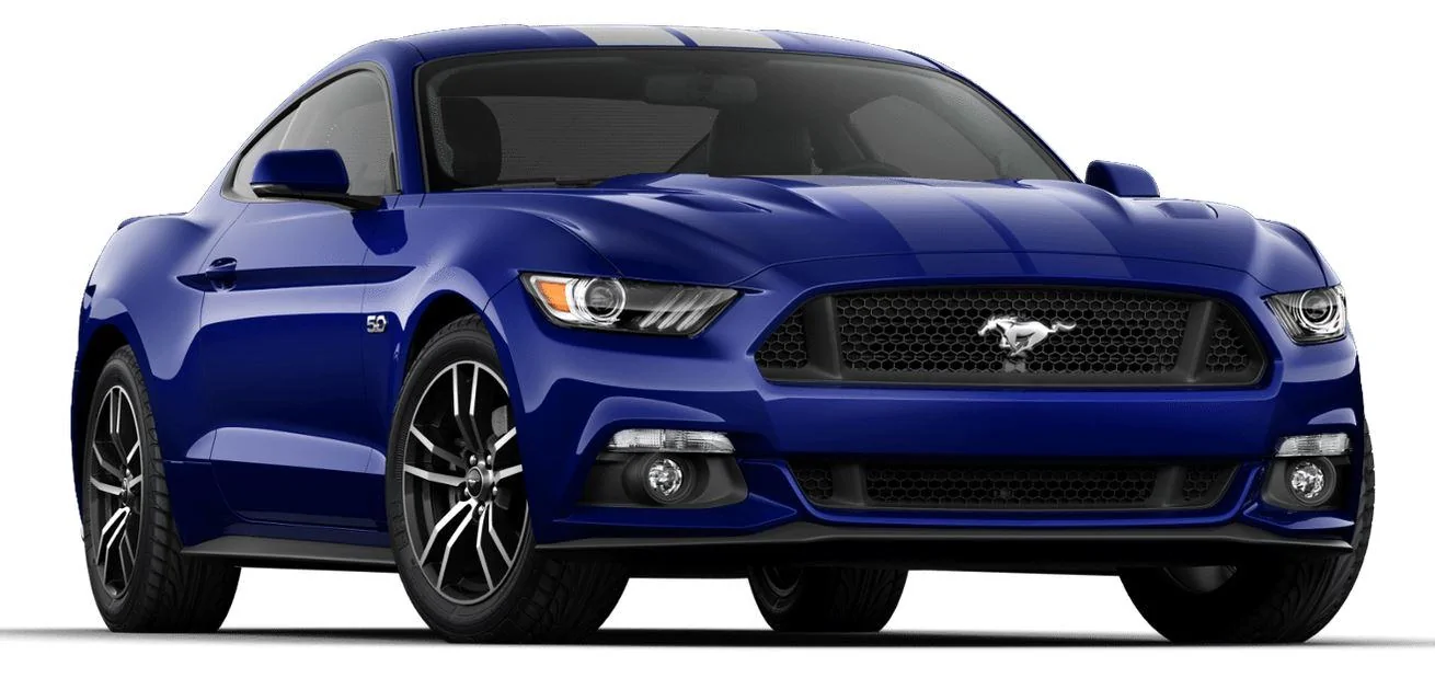Mustang-1.webp