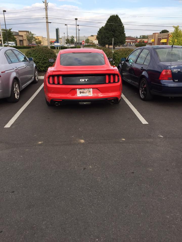 12019762_10207318878387560_4426087787701239217_n.jpg