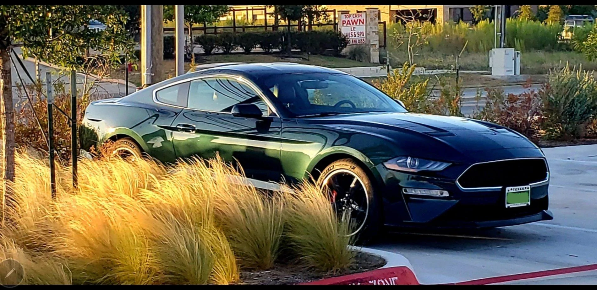 Screenshot_20191007-103148_Gallery.webp