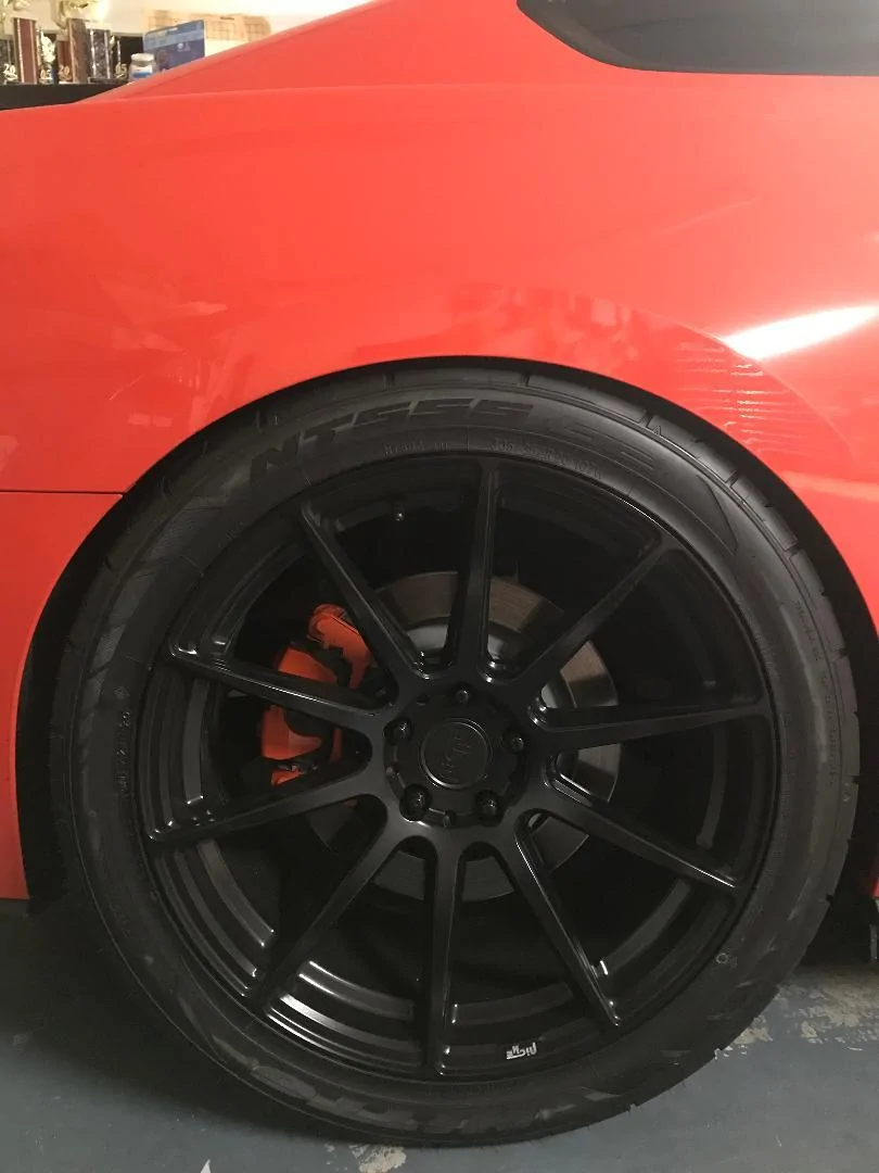 rear.webp