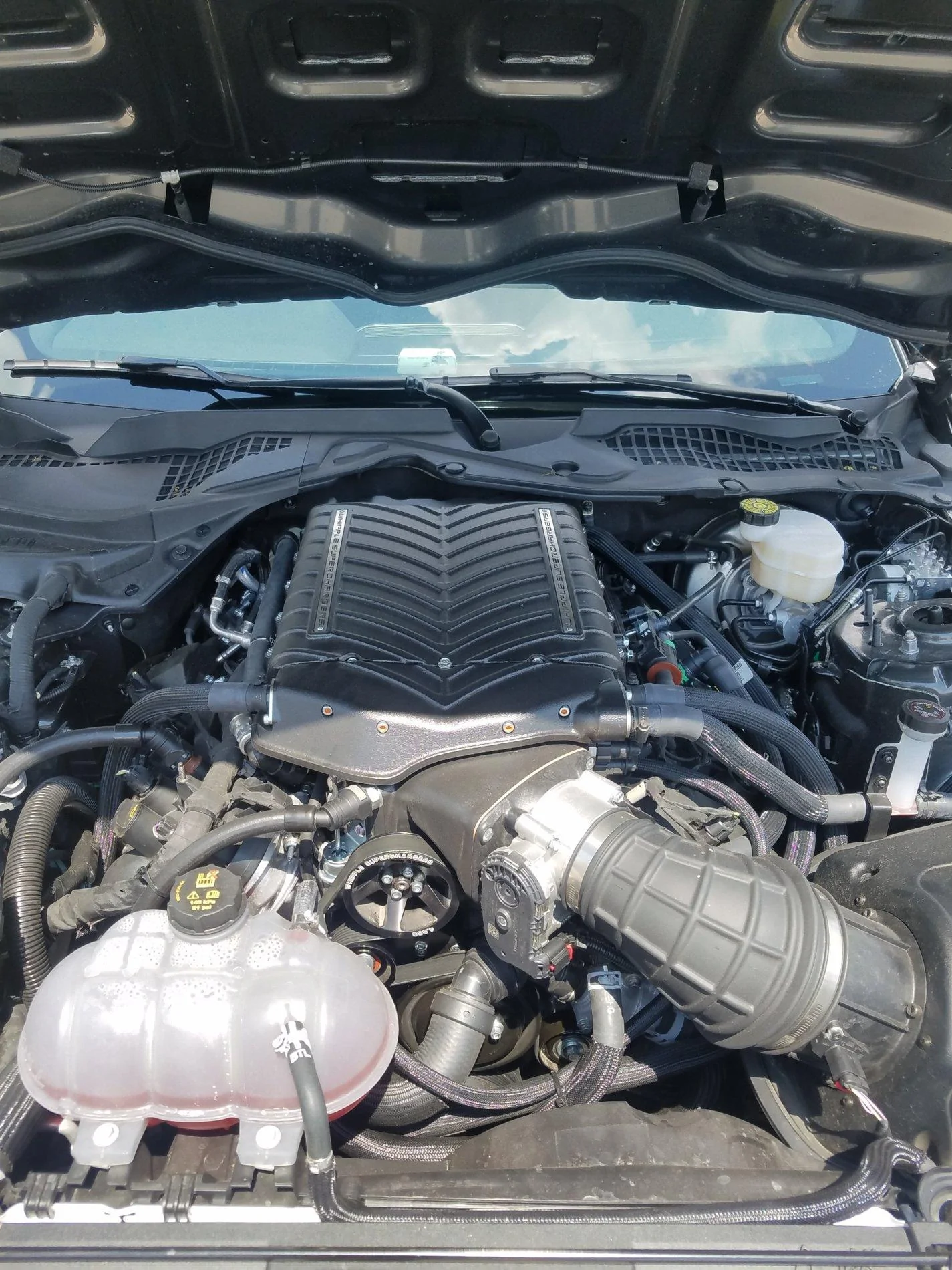 20190702_113841.webp