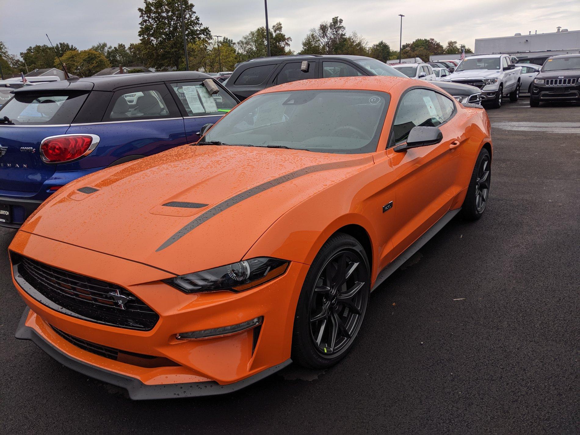 IMG_20191008_104712.jpg