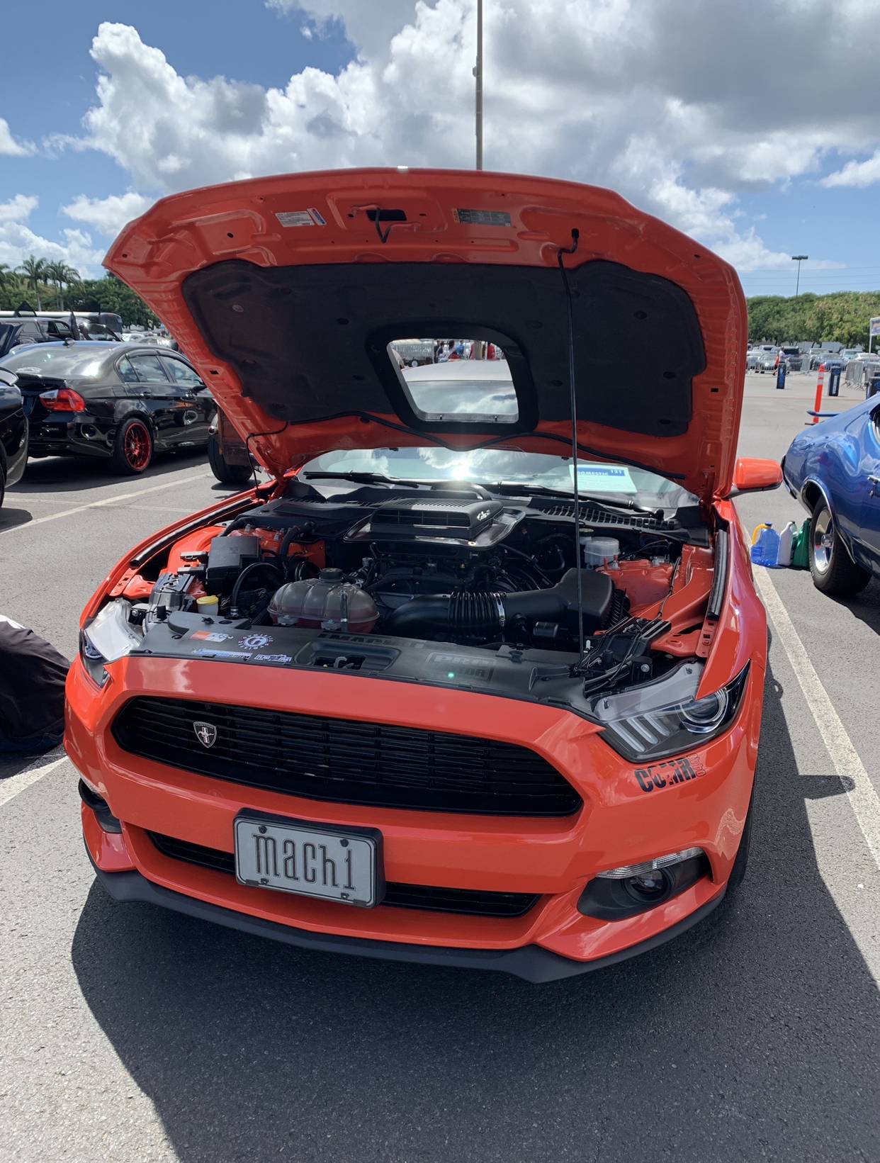 8E940D70-F8F2-4F15-AD33-F99517642441.jpeg