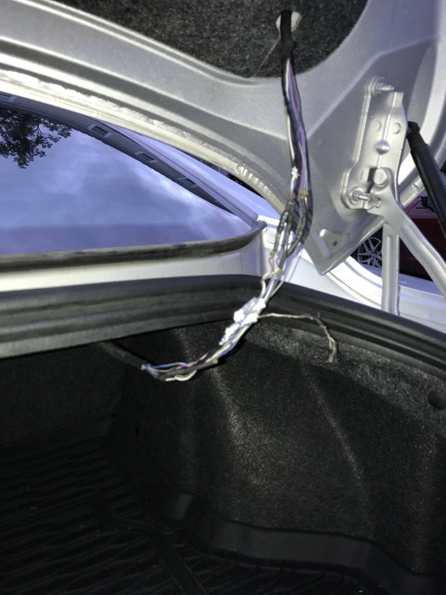Trunk_Wires.webp