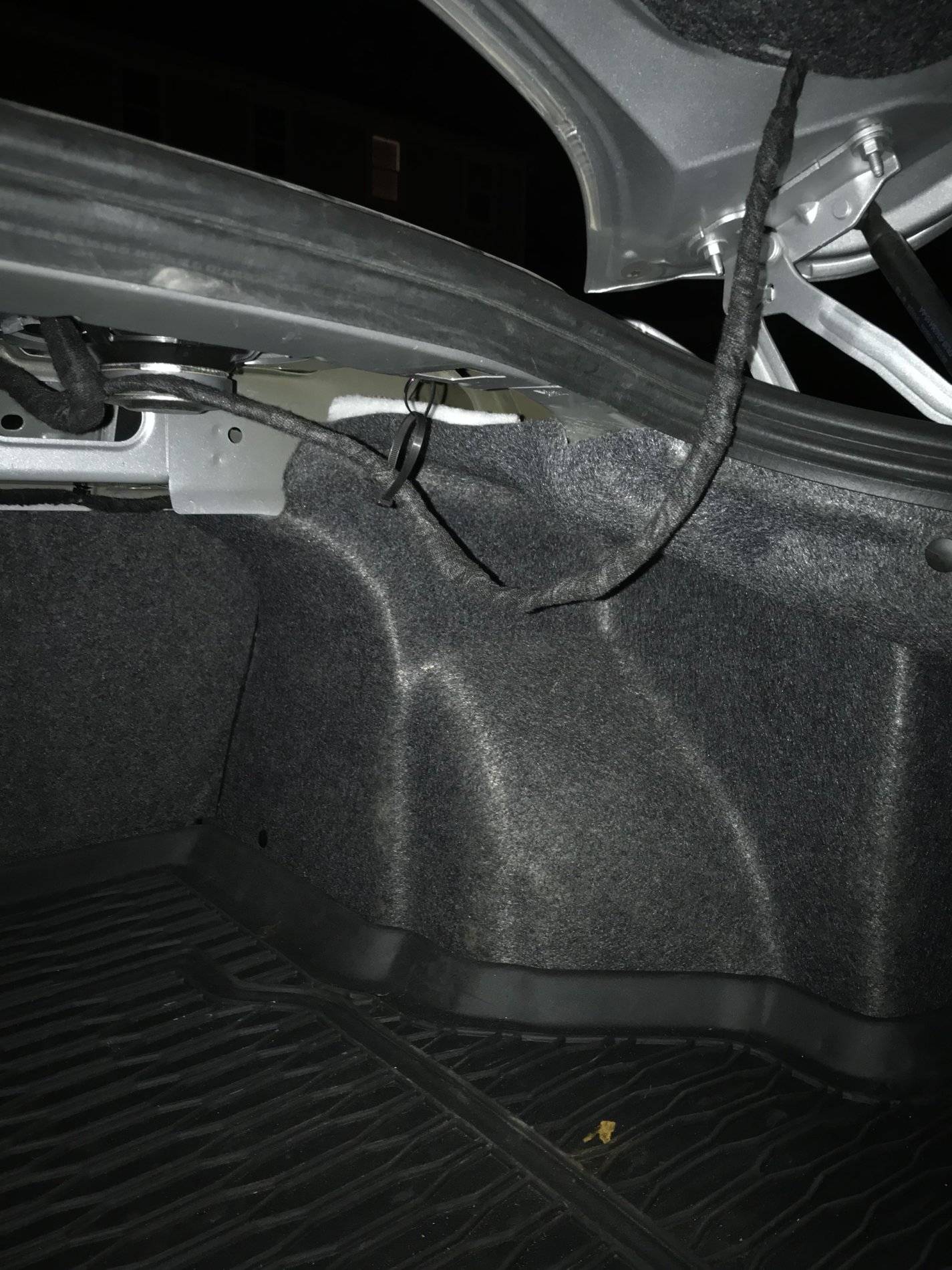 Trunk_Wires_2.jpg