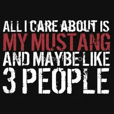 3d81efda39690a88f97cae64da0ac1b8---mustang-mustang-girl.webp