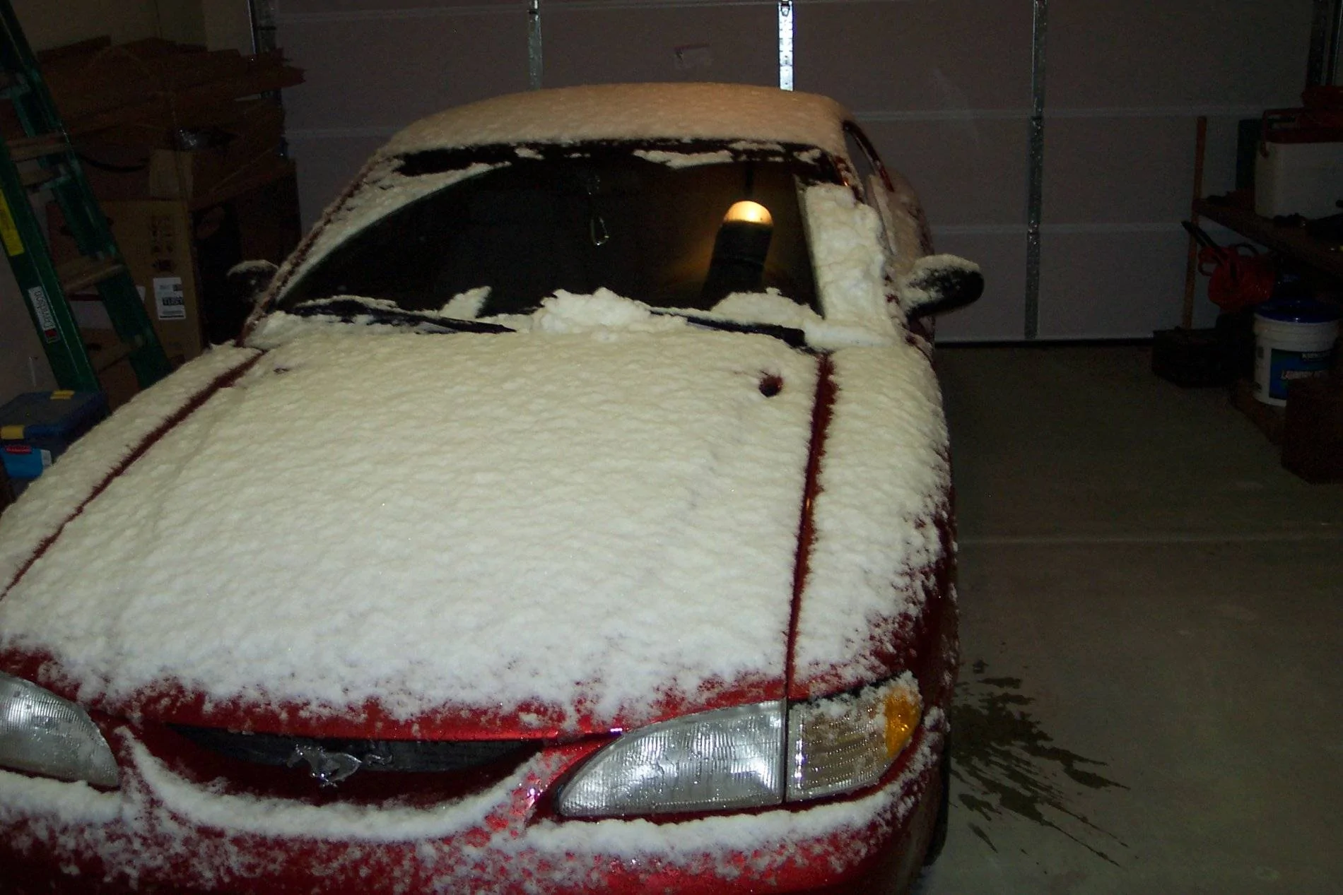 100_0499.webp