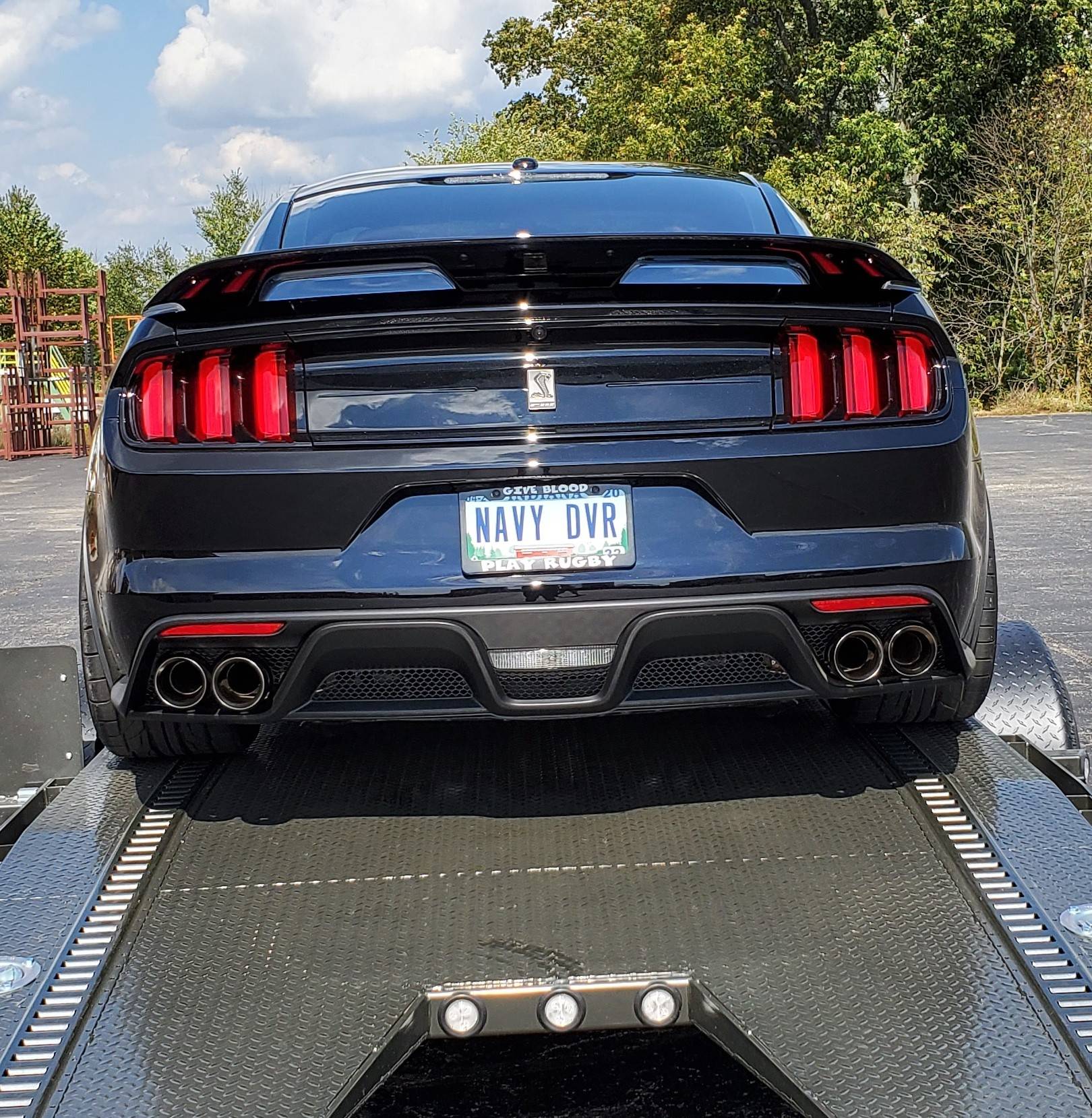 Rear.jpg
